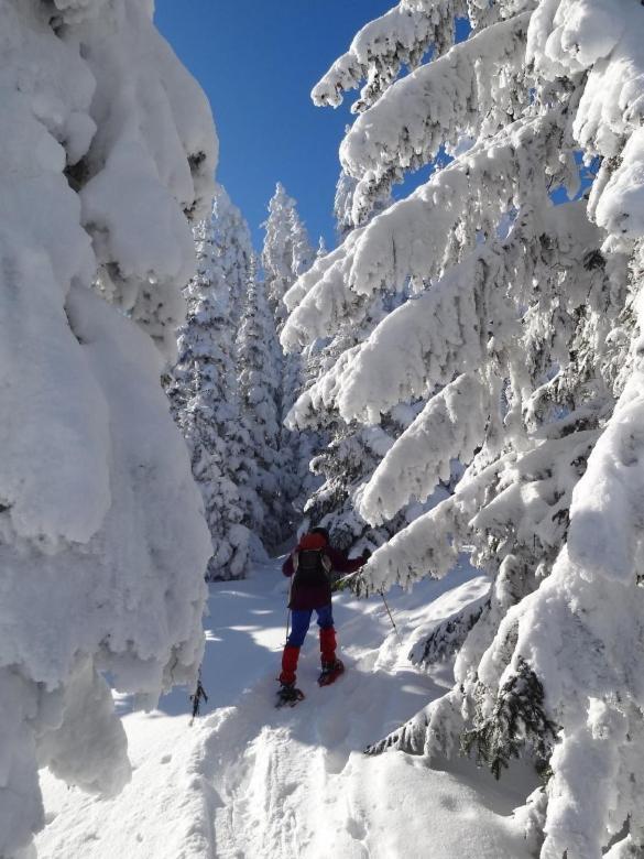 Gaestehaus Alpengruss 메이른호픈 외부 사진